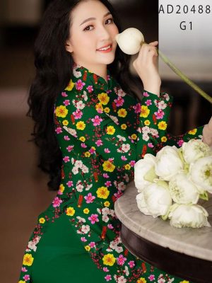 1608695894 60 vai ao dai dep (11)